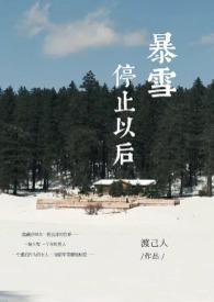 暴雪停止运营