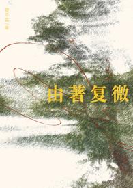 由著复微乱世佳音免费阅读