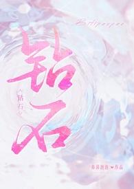 钻石 全文阅读