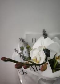 我的未婚妻欣可