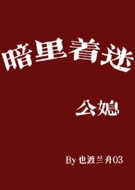 暗里着迷免费全文阅读