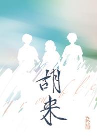 胡来是啥意思