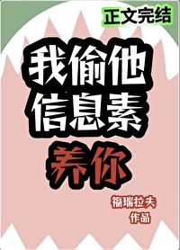 信息素偷盗指南b