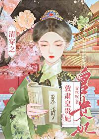 清穿之哲皇贵妃完结