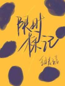 限定限时的区别