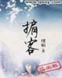 政治掮客是什么意思