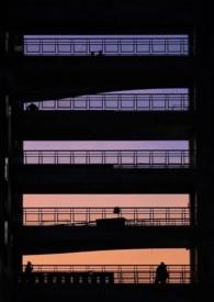 纯友谊的意思是什么