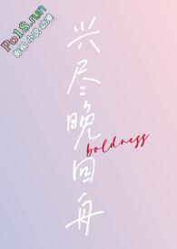 兴尽晚回舟的意思