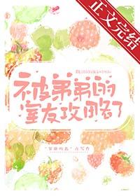 被弟弟的室友攻略了贫瘠的岛免费阅读