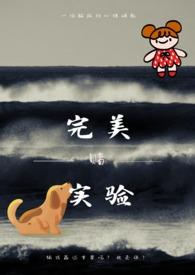 完美实验海龟汤答案