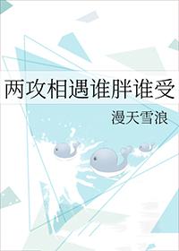 两攻相遇谁胖谁受 作者漫天雪浪免费