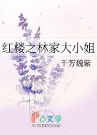 红楼之林家太太