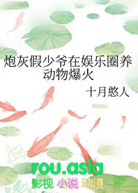 炮灰假少爷在娱乐圈养动物爆火十月憨人免费