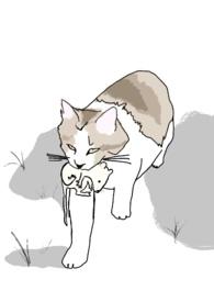 十八线就等你退婚了全文