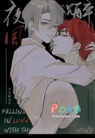 晚风沉醉的夜晚