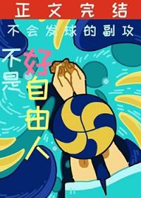 排球少年 cp