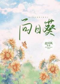 向日葵12月9日主力资金净卖出
