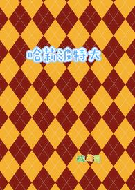 哈莉波特大笔趣阁