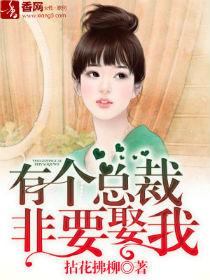 总裁你要找的女人已经找到了