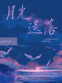 遗落的月光txt