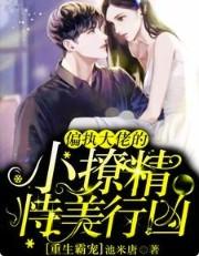 偏执大佬的小撩精