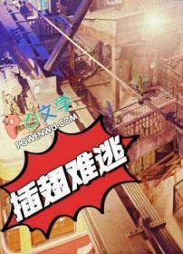 插翅难逃 豆瓣