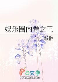饭圈 内卷