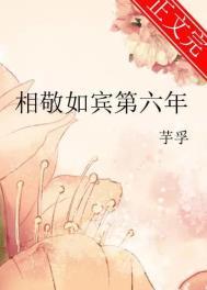 相敬如宾第六年by芋孚