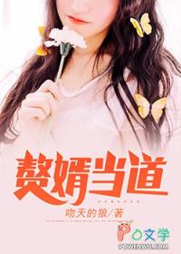 赘婿当道阅读