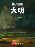 箱子里的大明TXT百度