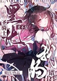 黑化圣骑士肉在哪几章