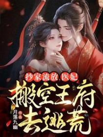 抄家流放医妃搬空王府去逃荒月落九幽