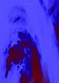 不起眼的杂草根歌曲完整版