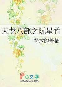 天龙八部阮星竹刘玉翠