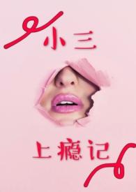 小三上瘾记免费阅读笔趣阁全文