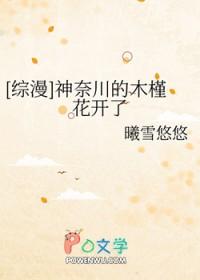 神奈川什么意思?