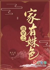 清穿之有妃陆氏全文免费