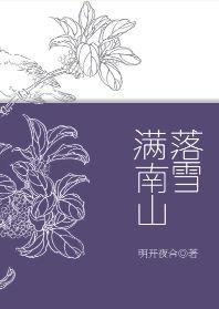 3.落雪满南山