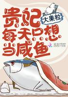 贵妃每天只想当咸鱼第几章圆房