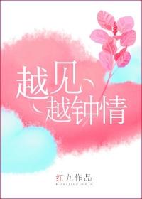 越见越钟情by红九写的什么