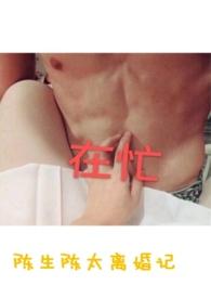 陈生陈太离婚记番外