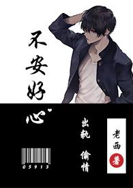 不安好心作者老西