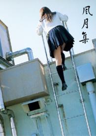 风月集电视剧免费观看