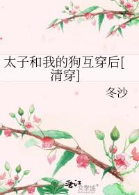 清穿太子妃与皇上