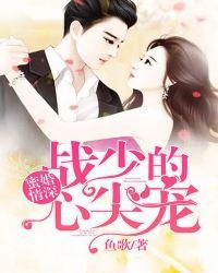 蜜婚情深战少的心尖宠全文免费入
