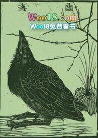 空壳公司怎么注册