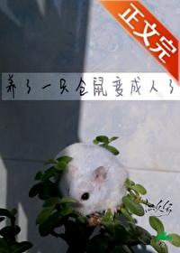 仓鼠会变成老鼠