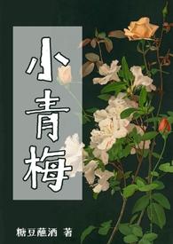 小青梅不经