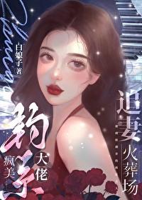 疯美钓系大佬追妻火葬场青云岫