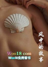 风中的故事教案